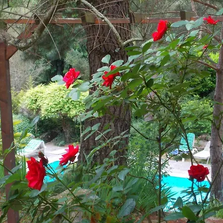 Horizons Verts Jasmin דירה